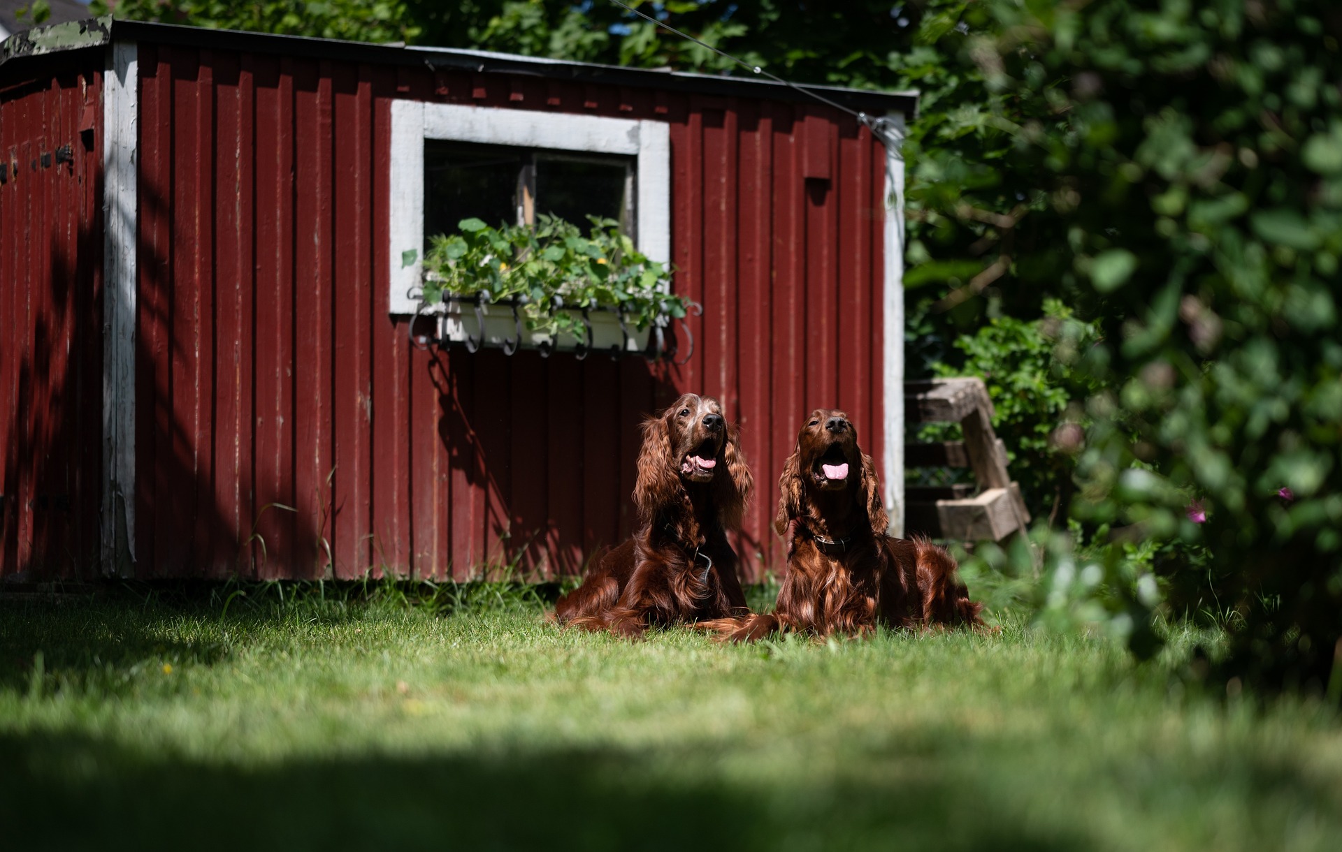 Tatort Garten